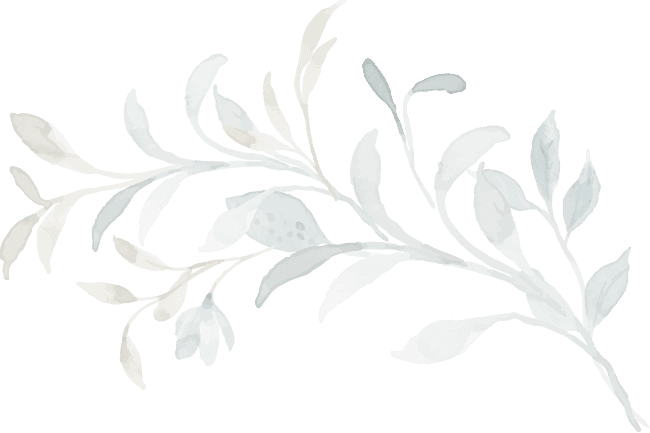 🌿 hoja decorativa